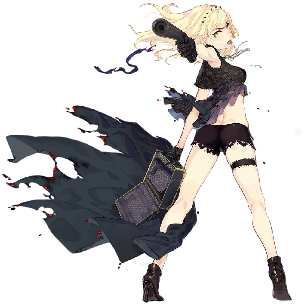 Pic Welrod 2103 D.png