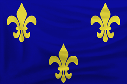 Flag French.png