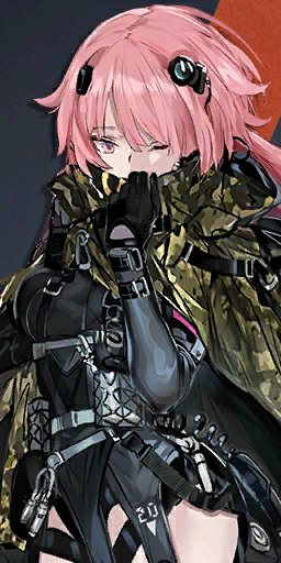 Pic NTW20Mod N.png