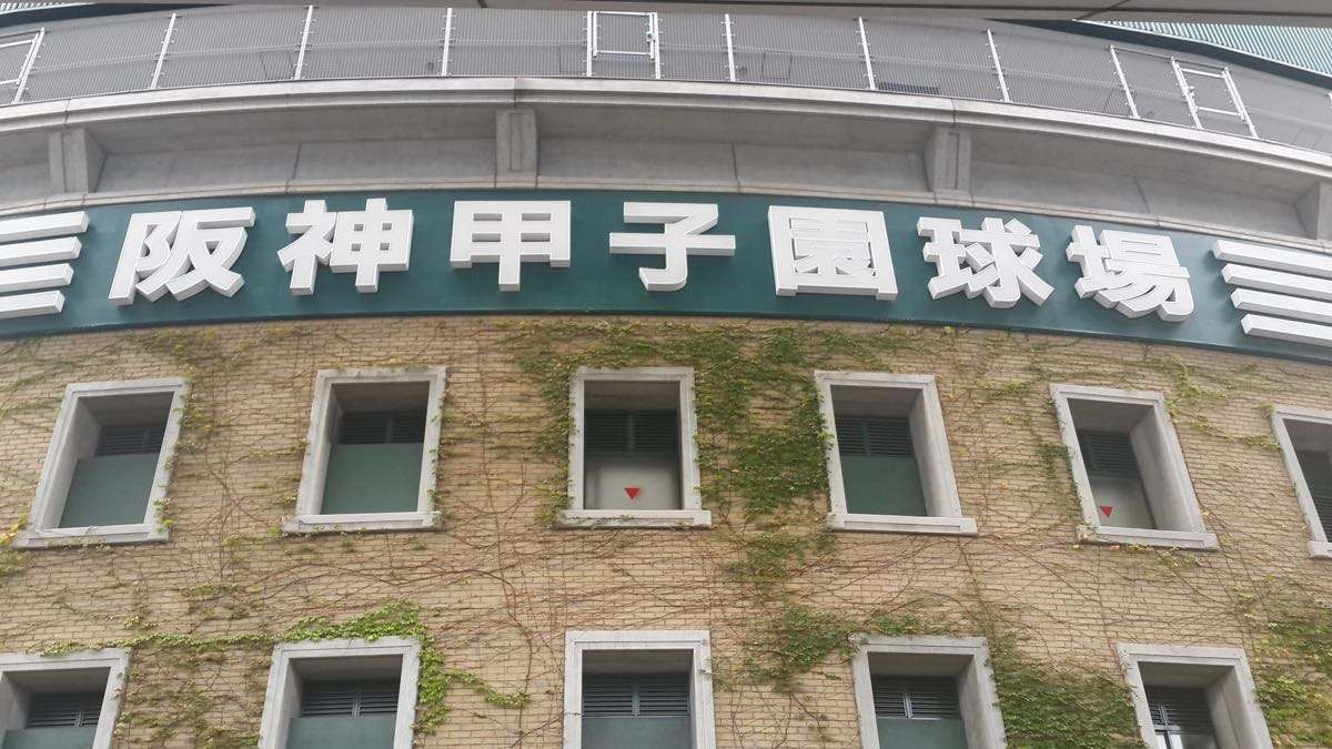 甲子園.jpeg