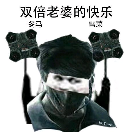 双倍老婆的快乐.png