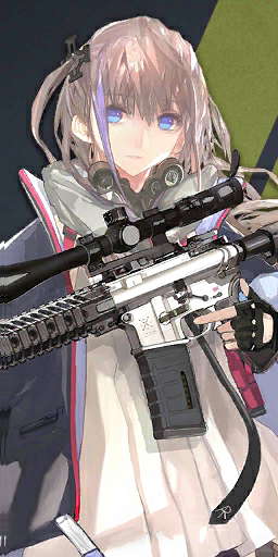 Pic AR15 N.png