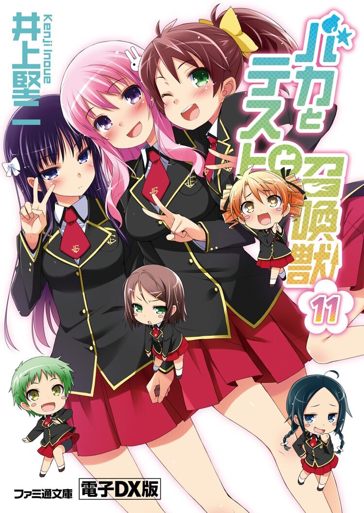 Baka and Test Novel 11.jpg