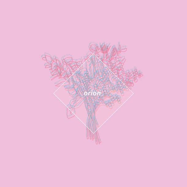 Orion orion.jpg