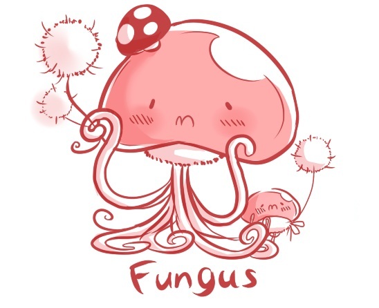 PIFungus.jpg