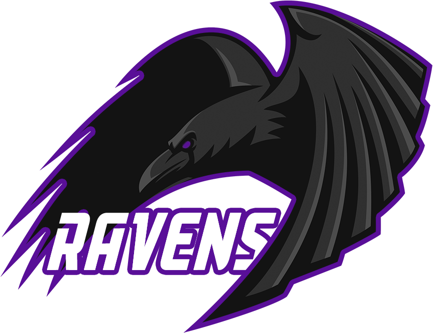 Ravens DOTA2 Esports.png