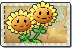 植物大战僵尸2:双胞向日葵