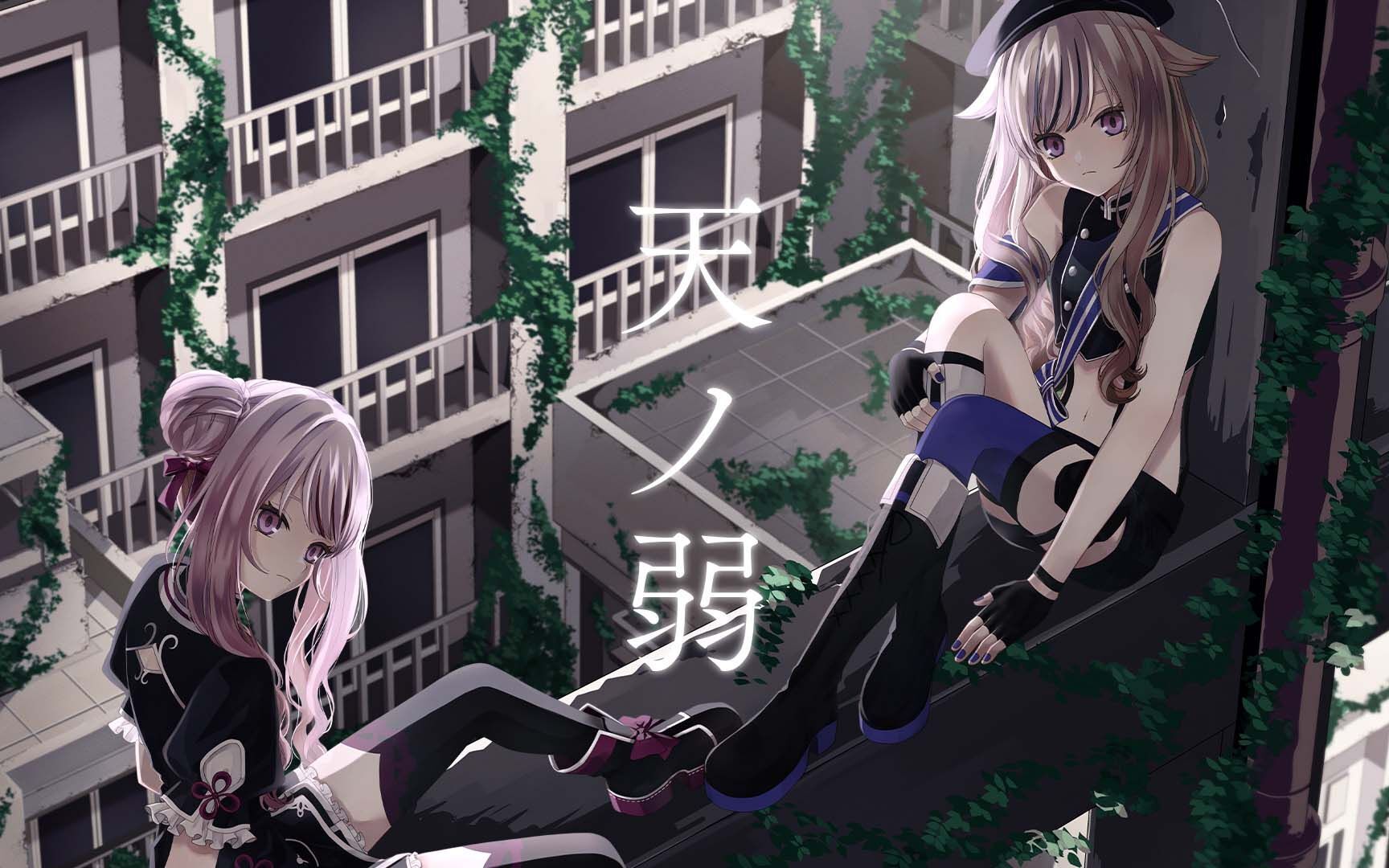 HIMEHINA VIDEO天之弱.jpg