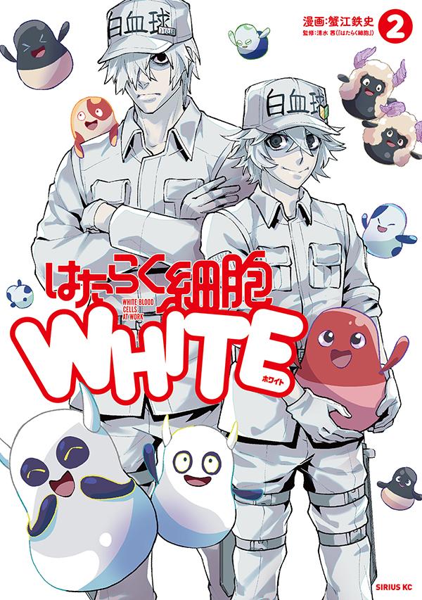 工作细胞WHITE2.jpg