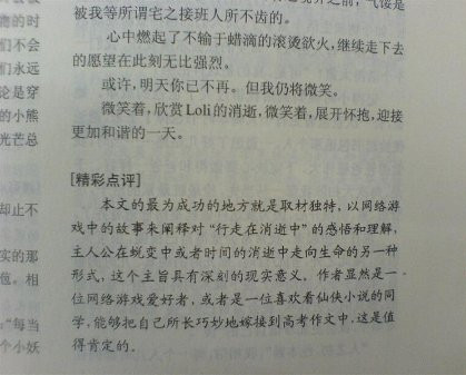 行走在消逝中相关点评.jpg