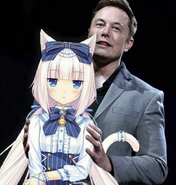 Elon 香子兰.jpg