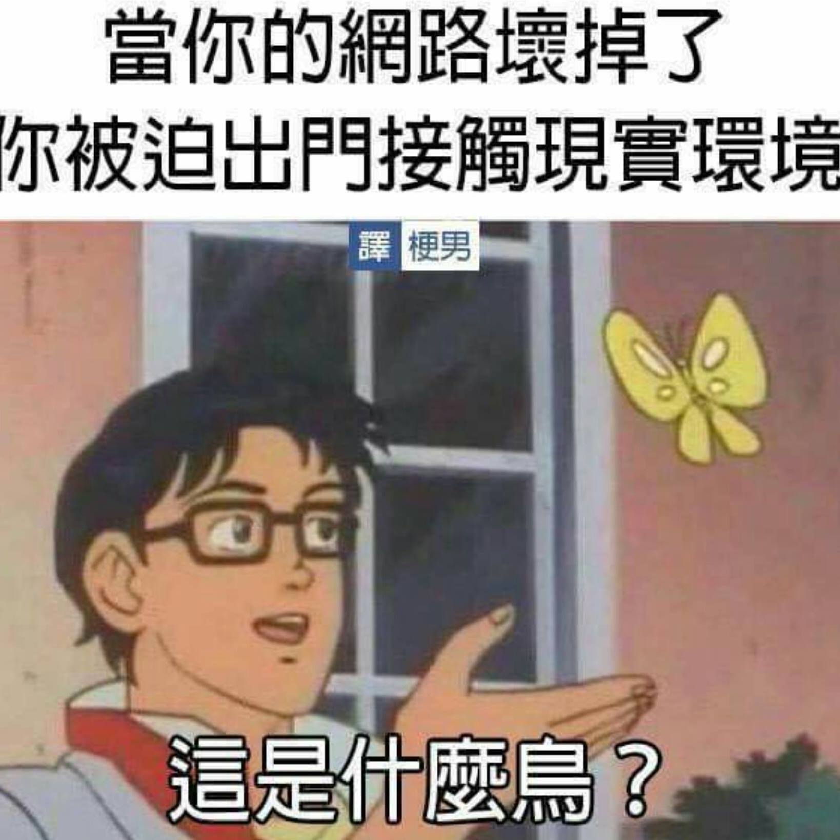 这是什么oo.jpg