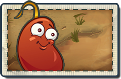 Chili Bean New Wild West Seed Packet.png