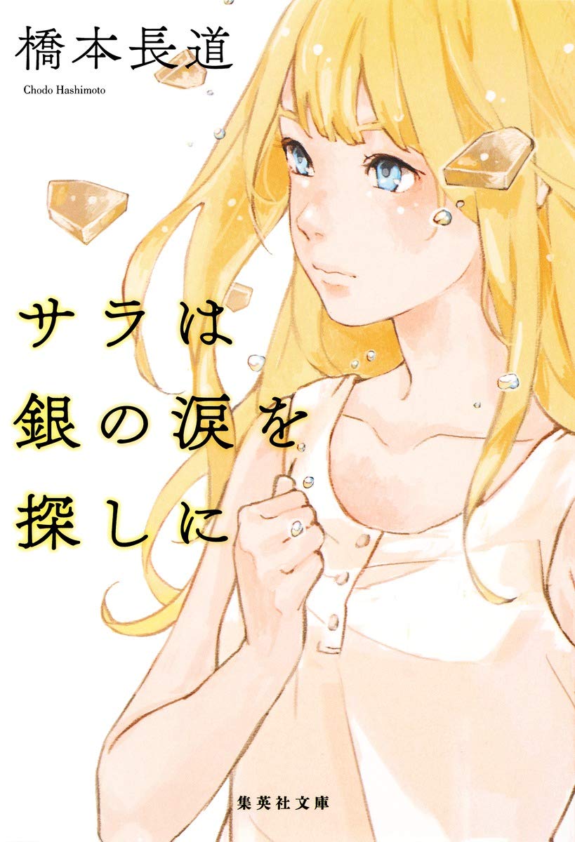 Sarah ha Gin no Namida wo Sagashini Cover.jpg