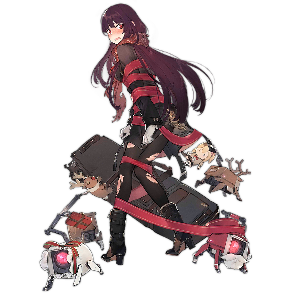 WA2000 306 D.png