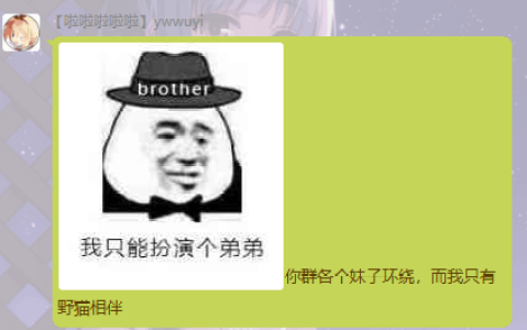 Ywwuyi-你群个个妹子环绕，而我只有野猫相伴.png