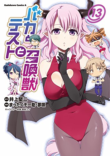 Baka and Test Manga 13.jpg