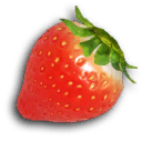 P3D Fruit 02 Sunseed Berry.png