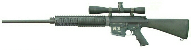 Sr25.jpg