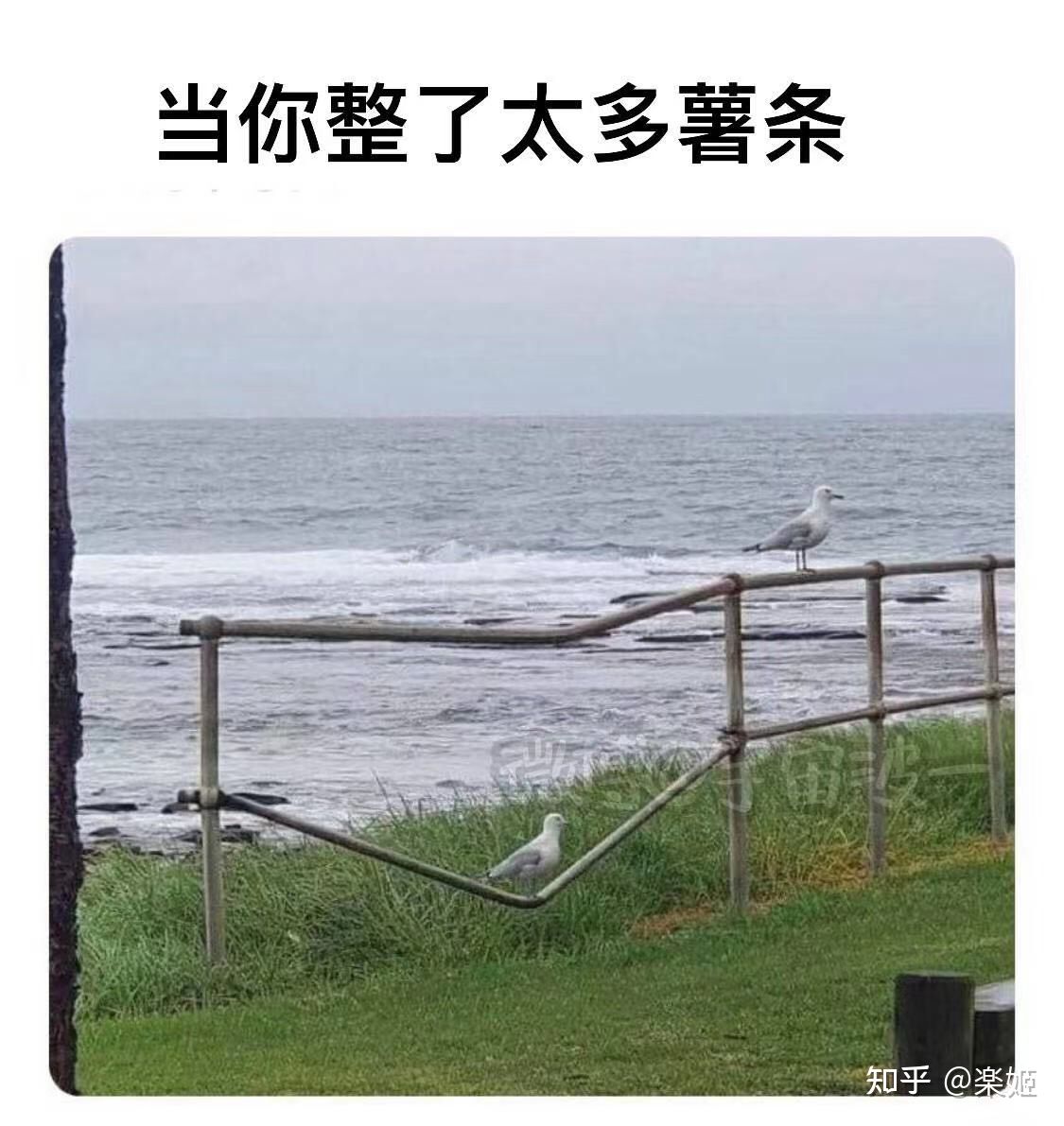 当你整了太多薯条.jpg