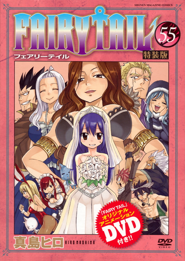 FAIRY TAIL55 special.jpg