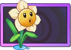 Narcissus Shooter Super Rare Seed Packet.png