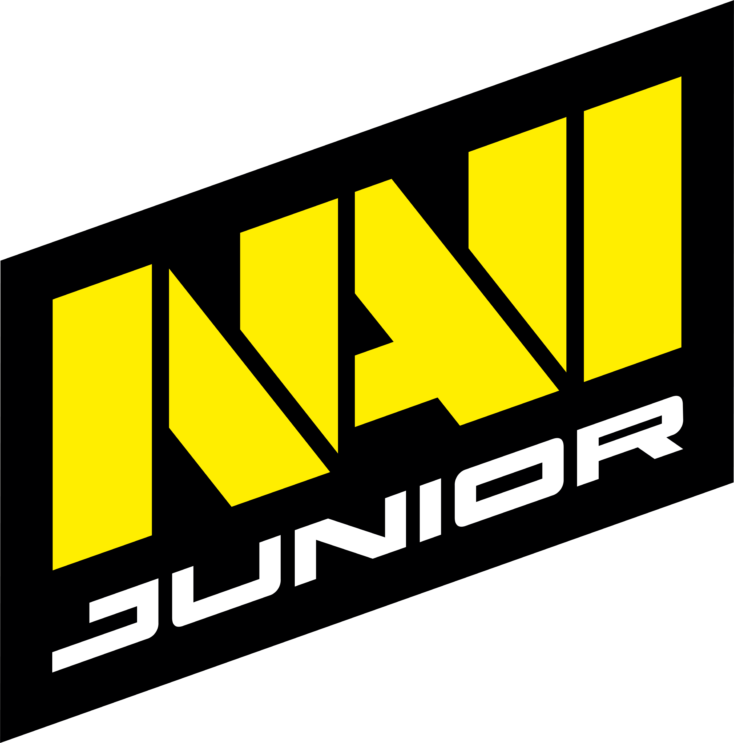 Natus Vincere Junior 2021.png