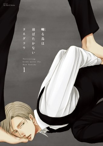 鸣鸟不飞 cover 1.jpg