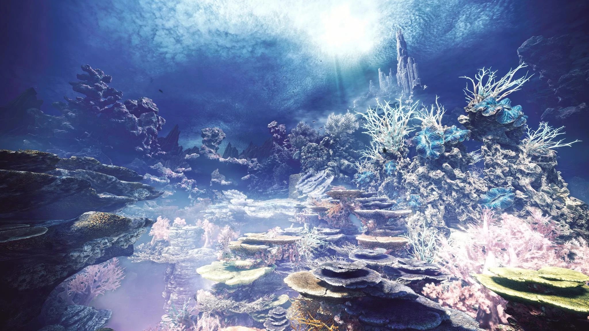 Coral Highlands MHW.jpg