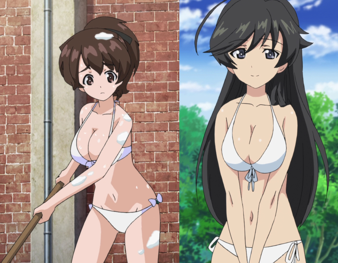 Comparison O Bikini O Hana Nd Yuzu(GUP).jpg