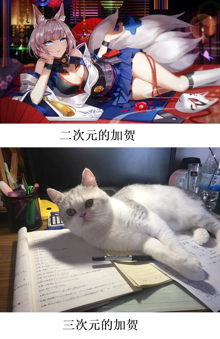 BLHX 加贺梗图.png