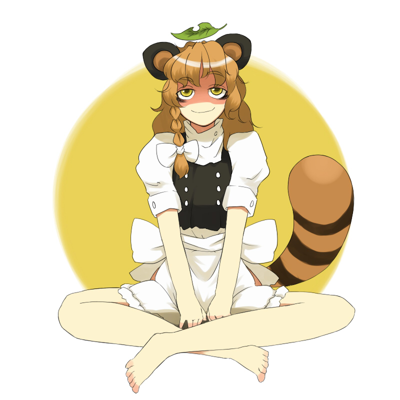 Tanuki.jpg