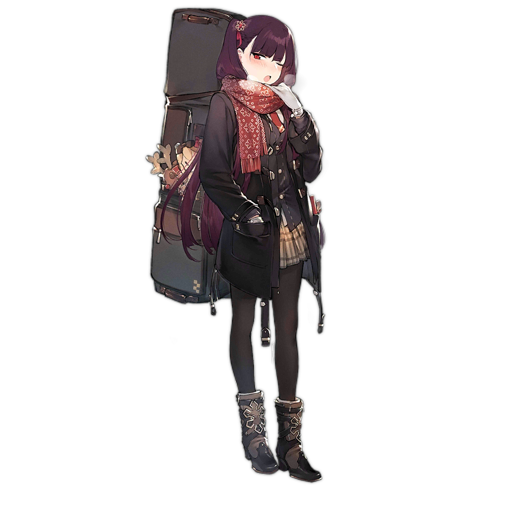 WA2000 306.png