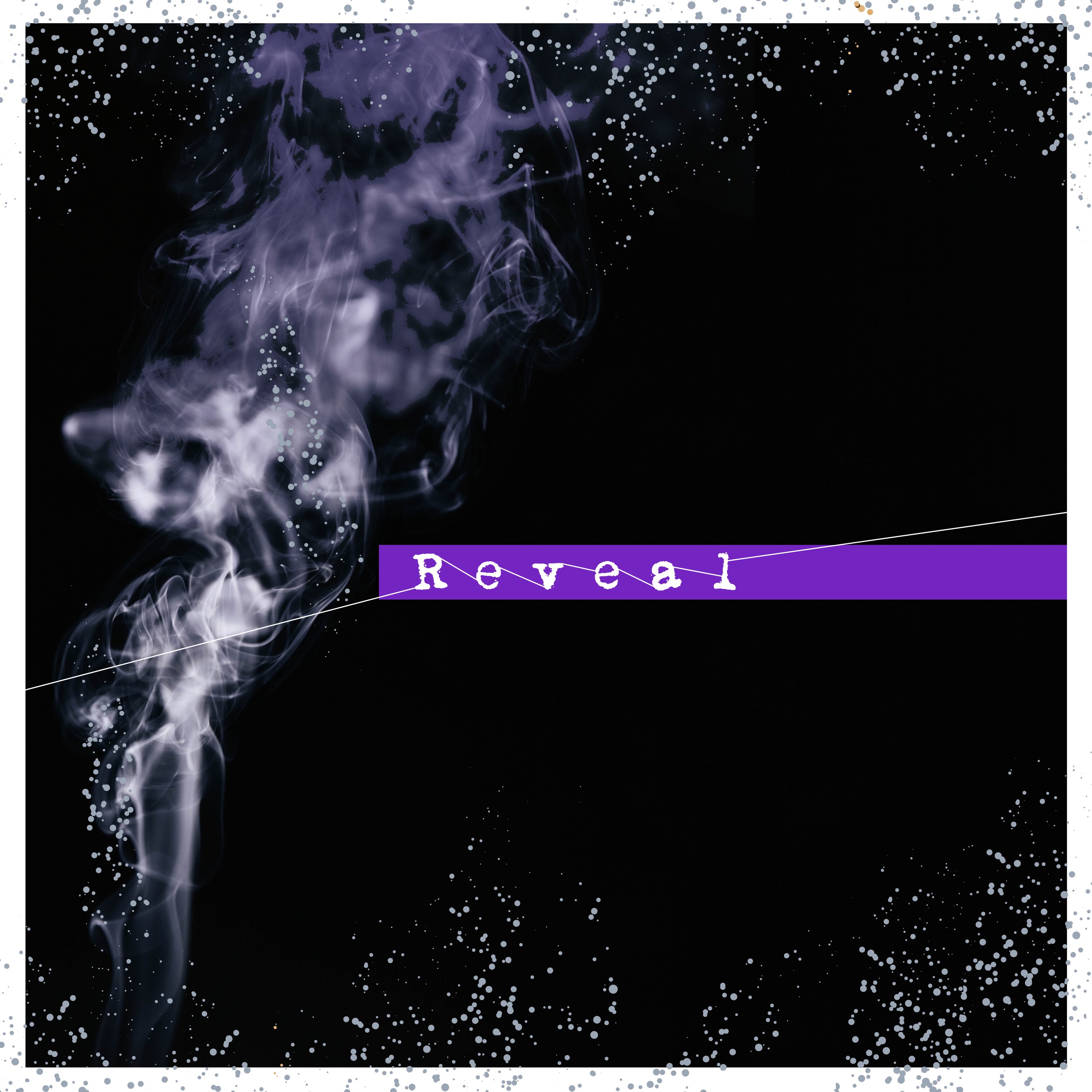 RevealCover02.jpg