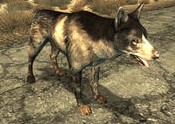 Dogmeat(FO3).jpg