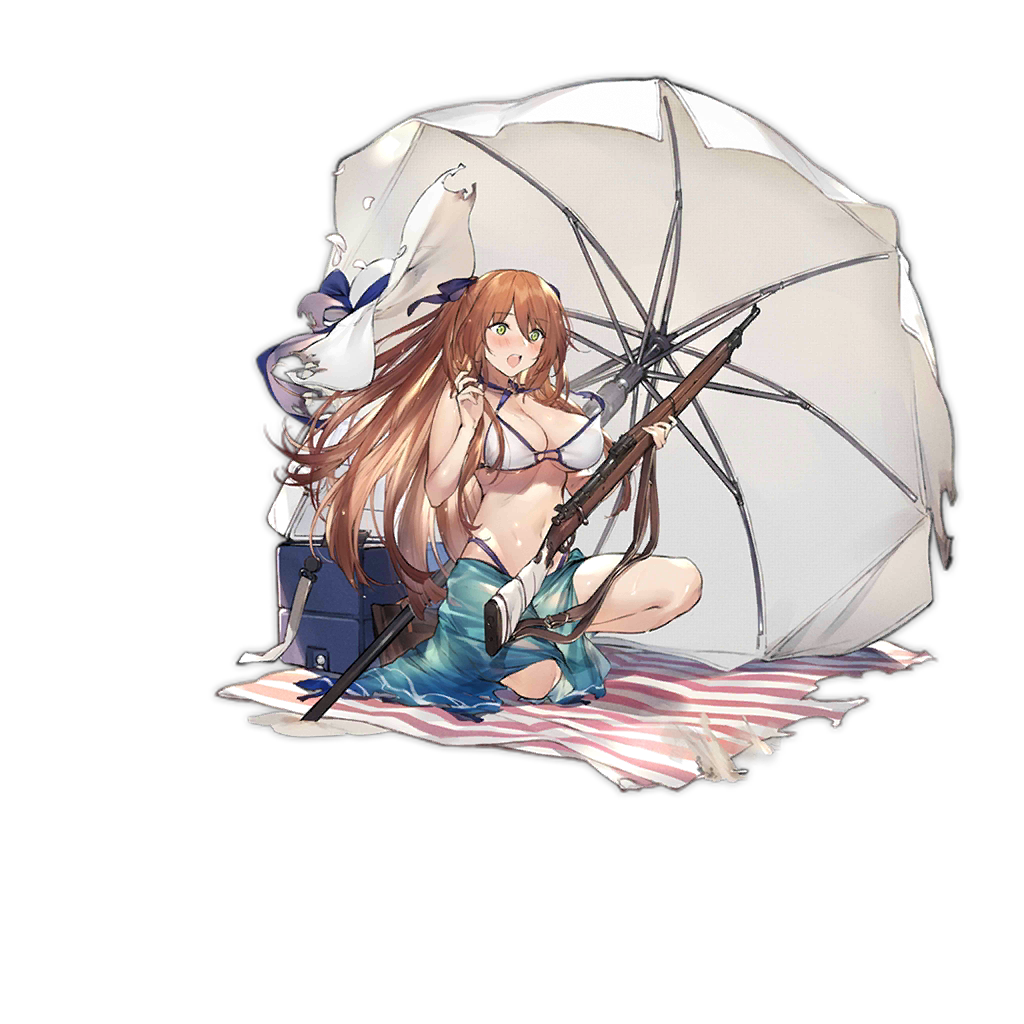 Pic M1903 1107 D.png