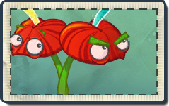Anthurium Seed Packet.png