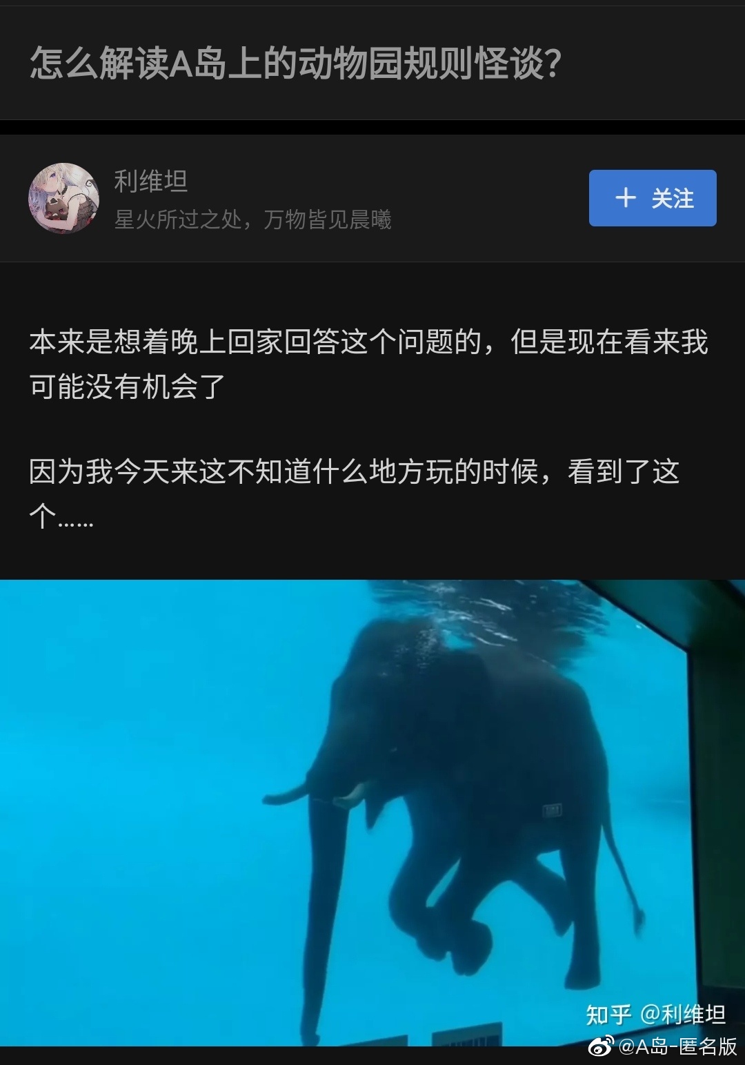 海洋館裡的大象 知乎截.jpg