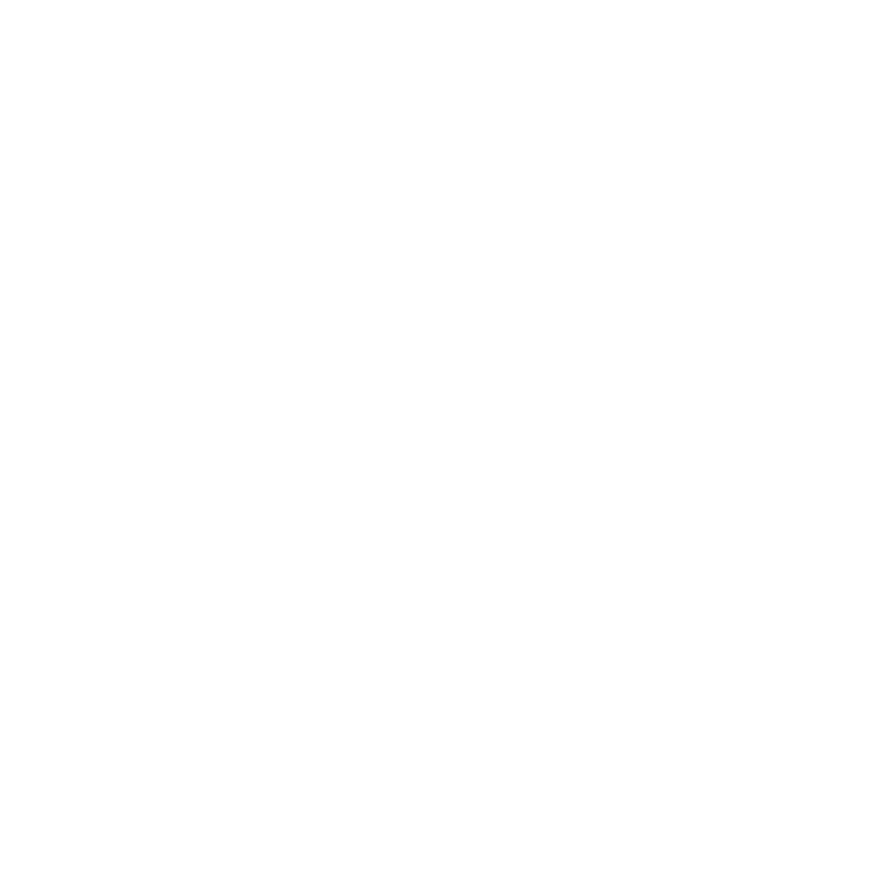 Team Zero N.png