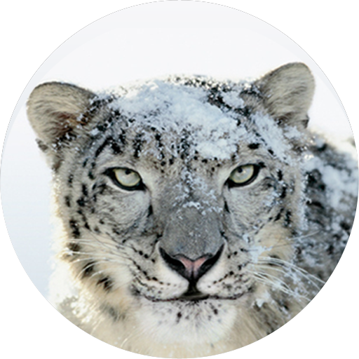 Mac OS X 10.6 Snow Leopard