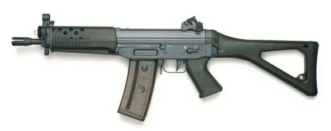 Sig552.jpg