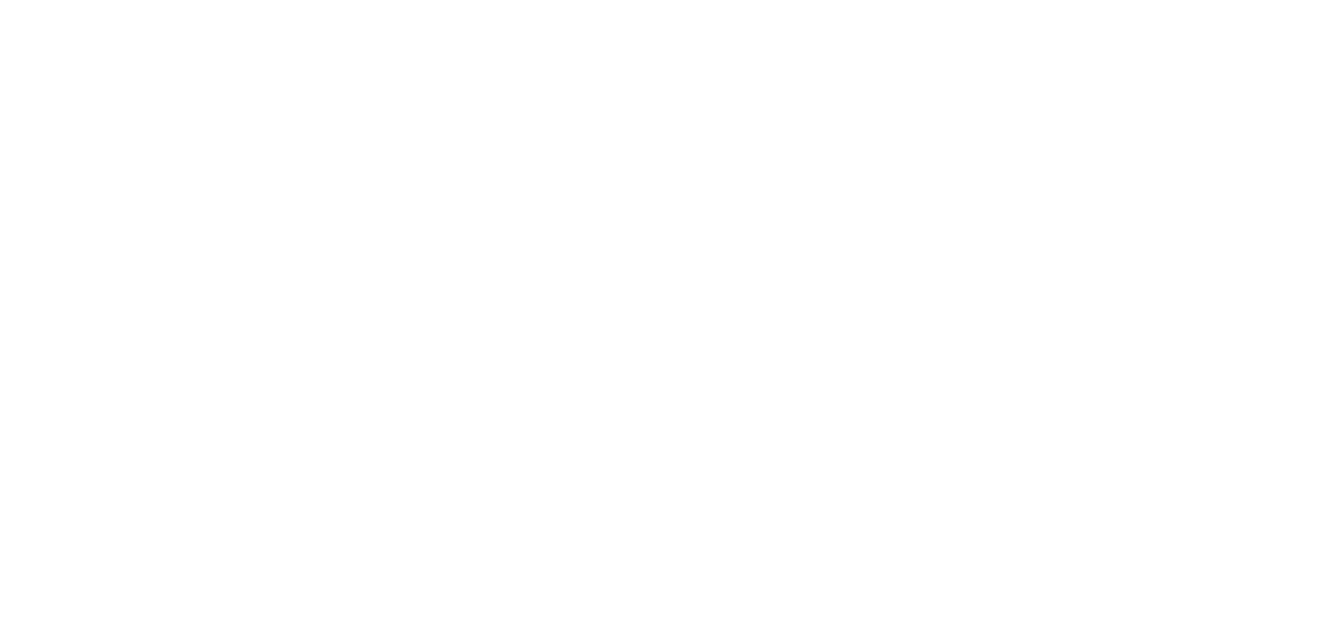 BraveGroupLogo 2023 white.png