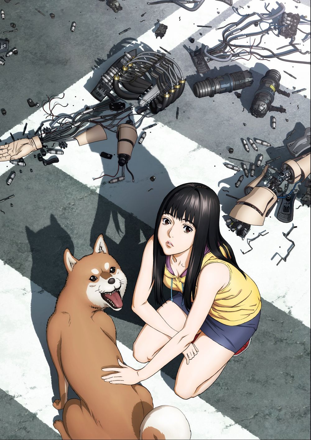 Inuyashiki KV.jpg