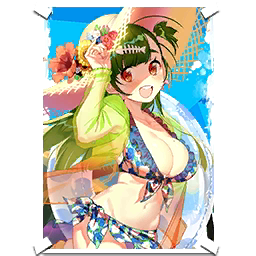 Poster G28 swimsuit.png
