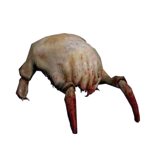 Head Crab.png