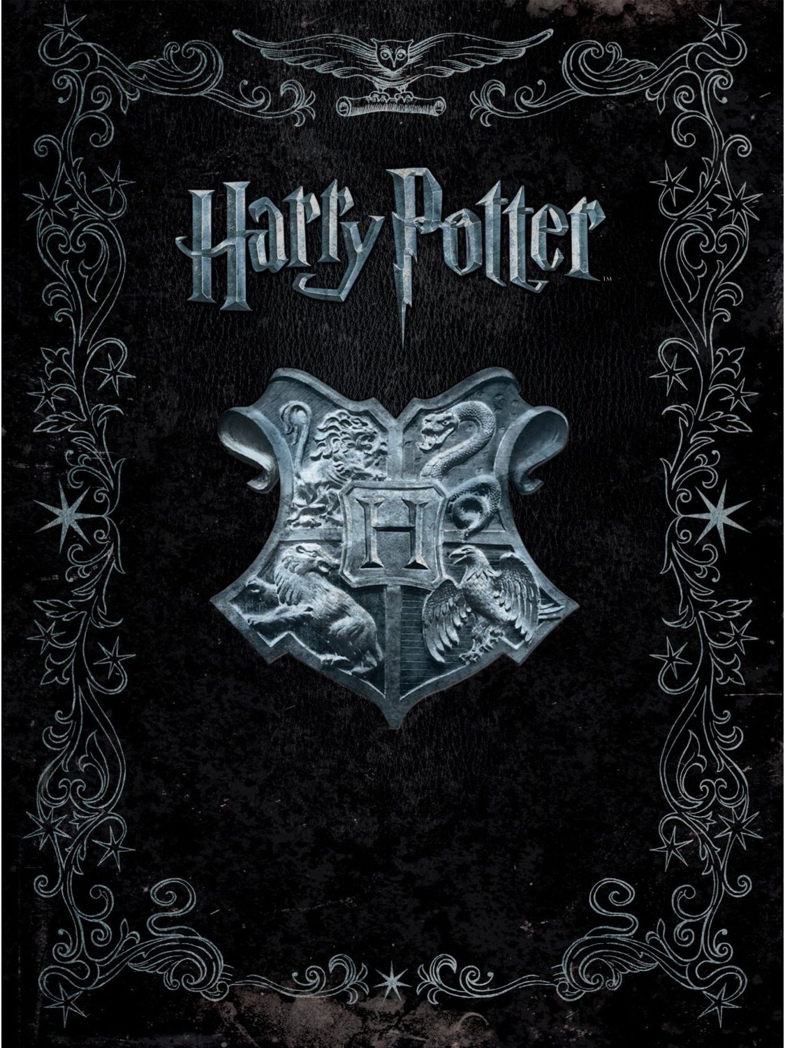 Harrypotter-cover-idea.jpg