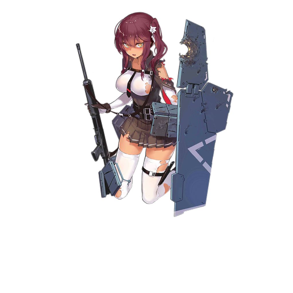 Saiga12 D.png