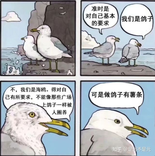 去码头整点薯条 鸽子.jpg