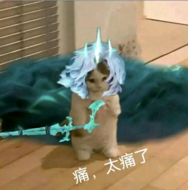 破败王猫.jpg