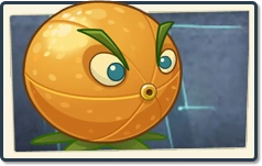 Citron Newer Seed Packet.png